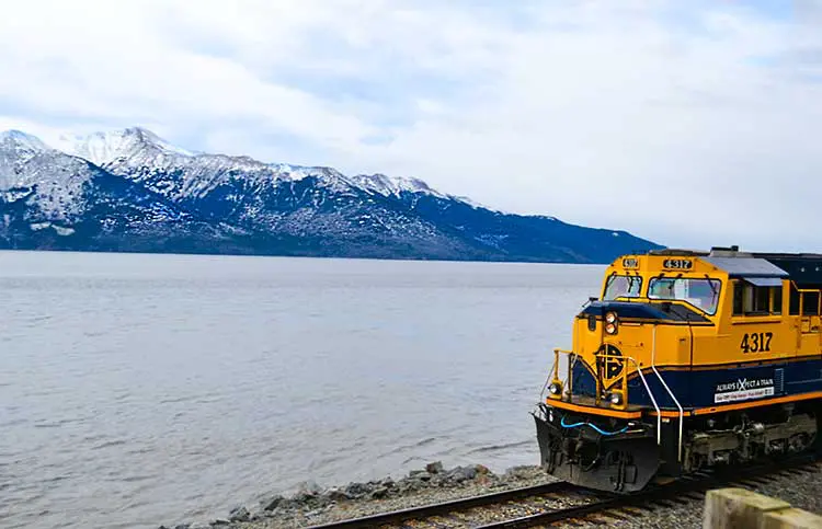 Alaska scenery with train