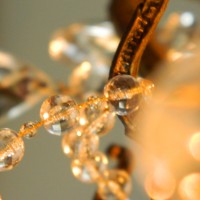 DSCN3318