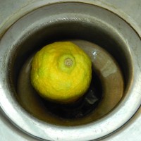 DSCN4806.jpg