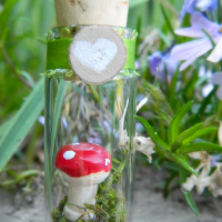 mini_terrarium.png