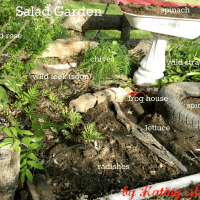 salad_garden.png