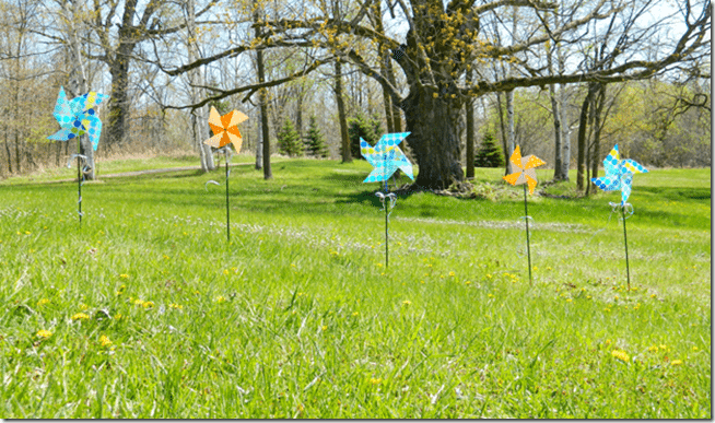 clip_image002