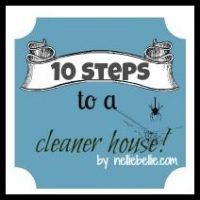 10 steps to a cleaner house...tips by NellieBellie