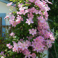 DSCN5590.jpg