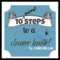 10 more tips to a cleaner house. Tricks for getting your family and kids involoved by NellieBellie