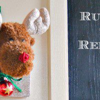 rudolph feature