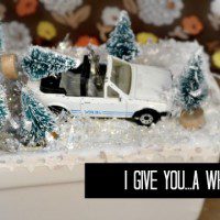 winterscene feature
