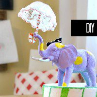 circus elephant feature