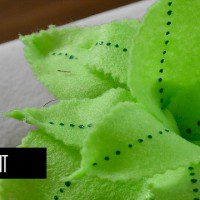 felt plant feature