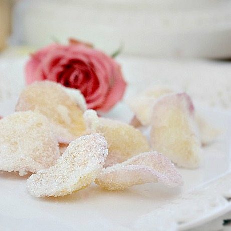 how to sugar petals. a tutorial from nelliebellie.com