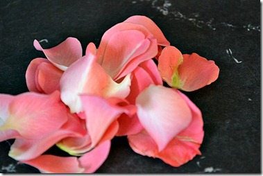 sugared petals1