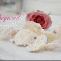 sugared-petals2_thumb.jpg