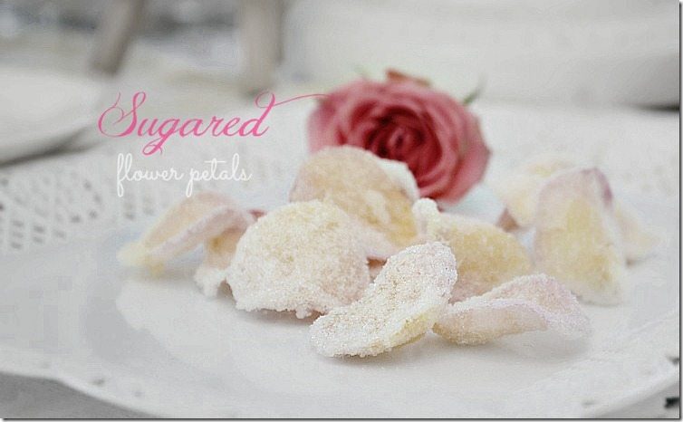 how to sugared flower petals. Easy and so pretty! From NellieBellie