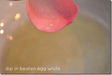 sugared petals4