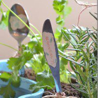 herb-garden9_thumb.jpg