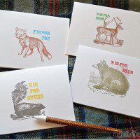 northwoods-notecards2_thumb.jpg