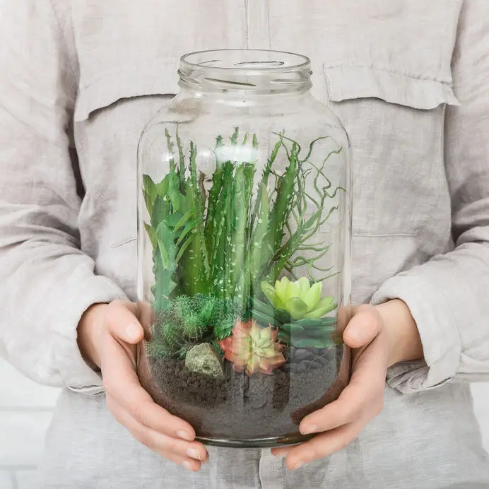 A diy terrarium in a jar. 