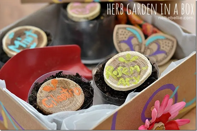 A diy indoor herb garden packed into a pretty box...a great gift idea! From NellieBellie