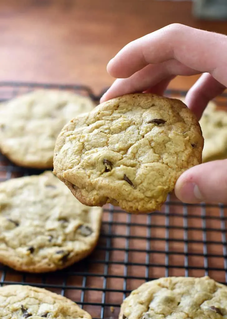 the best chocolate chip cookies!