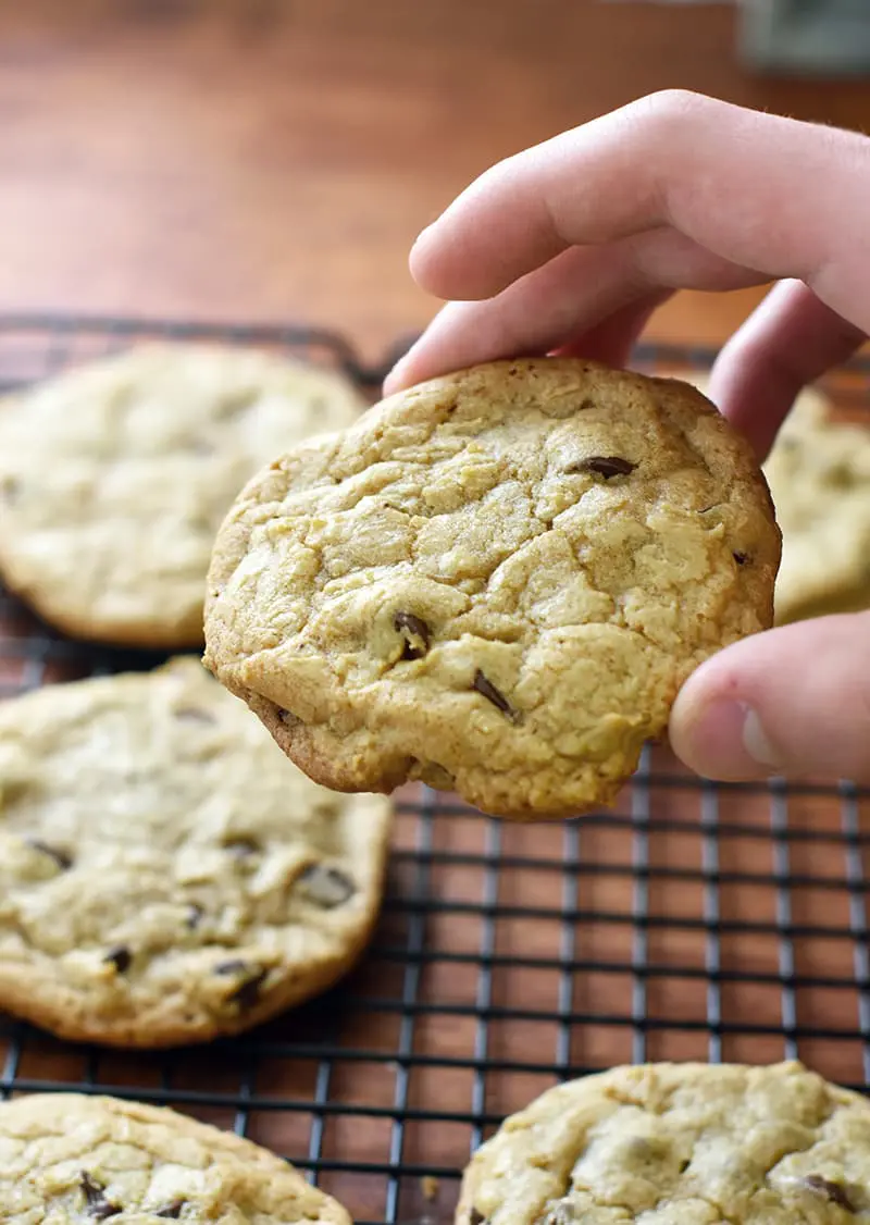 the best chocolate chip cookies!