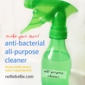 DIY anti-bacterial, all-purpose cleaner. Only 3 ingredients...easy to find!! ~www.nelliebellie.com | DIY antibacterial cleaner