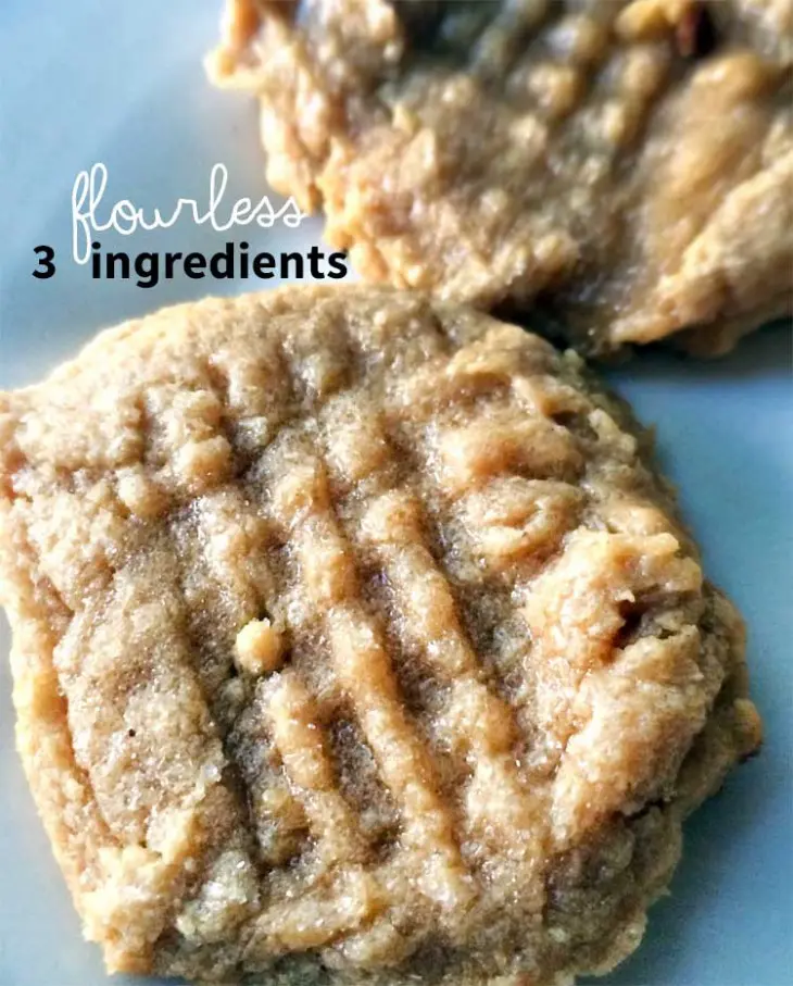 gluten-free peanut butter cookies from NellieBellie. These 3 ingredient cookies are simple, delicious and use just 1 bowl, classic cookie recipe
