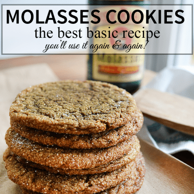 The Best Molasses Cookie recipe, you'll use it again and again! | nelliebellie.com