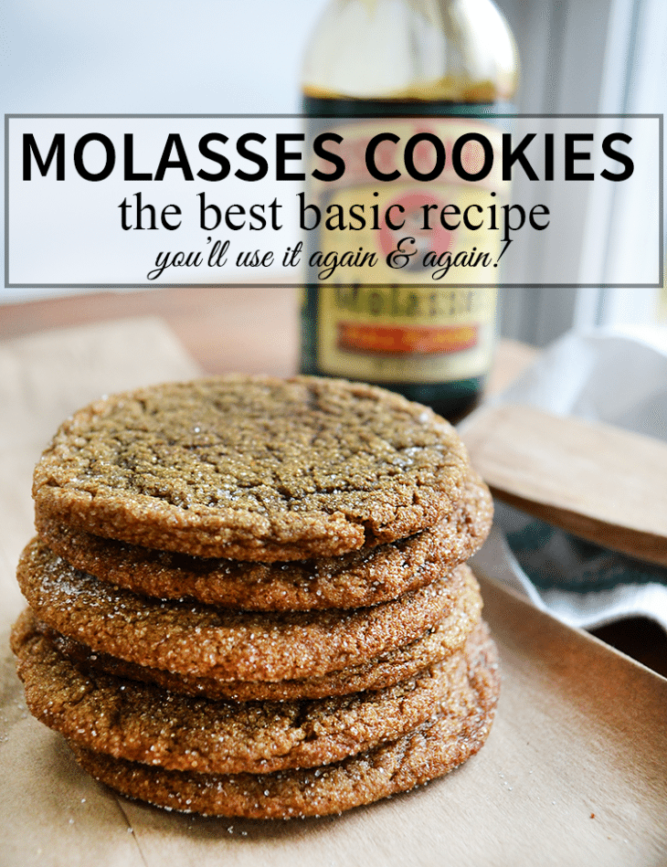 The Best Molasses Cookie recipe, you'll use it again and again! | nelliebellie.com | classic cookie recipe