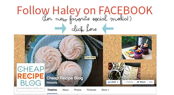 visit Haley from Cheap Recipe Blog on FAcebook