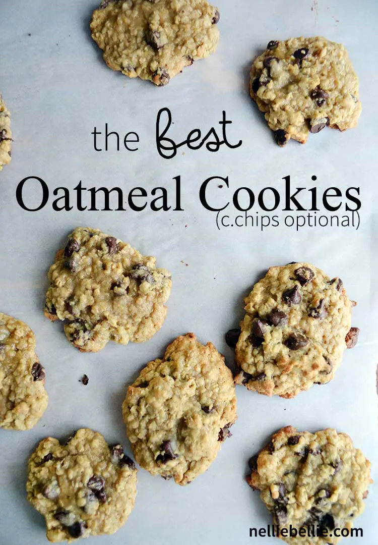 the BEST oatmeal cookie recipe. This version is made with chocolate chips which is our favorite version of oatmeal cookies. | nelliebellie.com oatmeal chocolate chip cookies, oatmeal cookies, cookie recipe