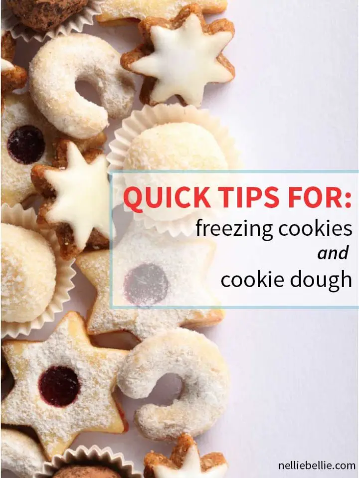 quick tips for freezing Christmas cookies, freezing baked cookies, freezing cookie dough, freezing cookies, From nelliebellie.com