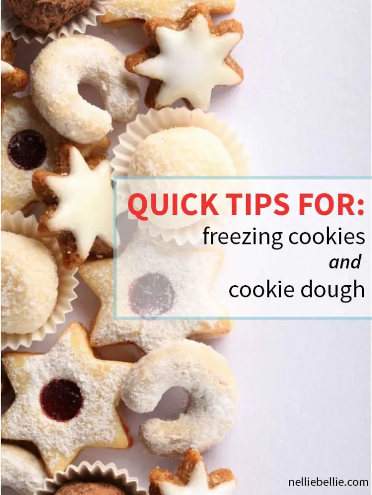 quick tips for freezing Christmas cookies, freezing baked cookies, freezing cookie dough. freezing cookies, From nelliebellie.com