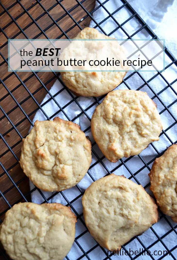 the BEST classic peanut butter cookie recipe from nelliebellie.com peanut butter cookies, classic cookies, peanut butter recipes