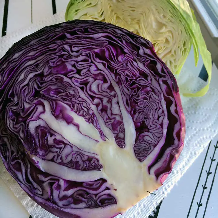 Basic Coleslaw recipe, video tutorial for making coleslaw, and a terrific recipe for Jalapeno Cilantro Coleslaw. Love that stuff on shrimp tacos!