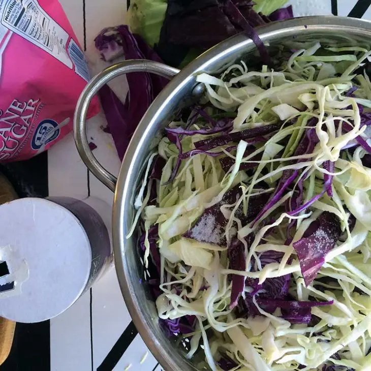 This classic coleslaw recipe will help you get started and feel like you can make slaw like a pro. Sweet, creamy, and tangy...just like good slaw should be!