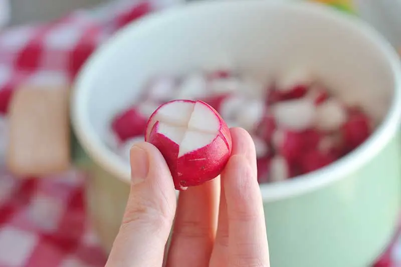 Creamy radish soup is easy to make and a great way to use this inexpensive veggie. Vegan friendly.