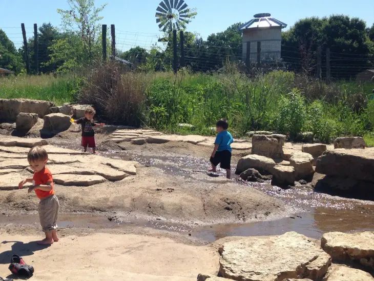 tamarack nature center