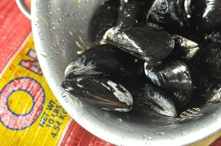Pumpkin Mussels