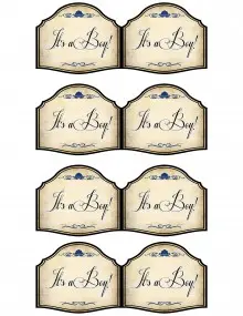 its-a-boy-printable