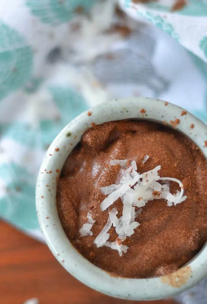 There isn't dairy OR sugar in this coconut dairy free homemade chocolate pudding. But, it's smooth and creamy just like all pudding should be! Made with coconut.