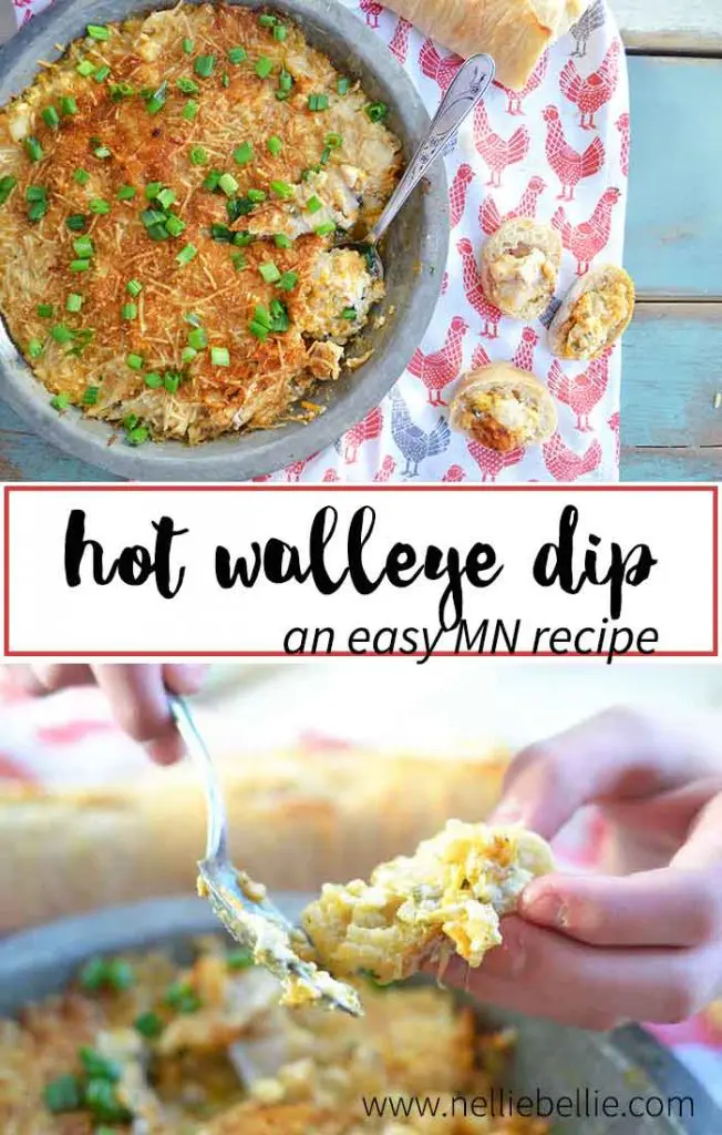 A Minnesota recipe... this hot walleye dip is cheesy, gooey, and delicious! A great appetizer for the big game or your next party. No walleye? Sub your favorite white fish, instead.
