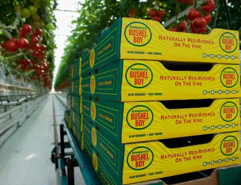 bushel boy farm5
