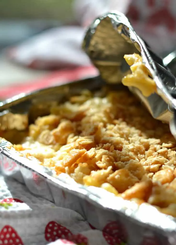 Campfire macaroni and cheese can be a pre-made meal! You can close that pan up and pop it into the fridge until it's time - a couple of days is fine. Pack it up, and take it with you. Then put it on your campfire to get melty and delicious. 