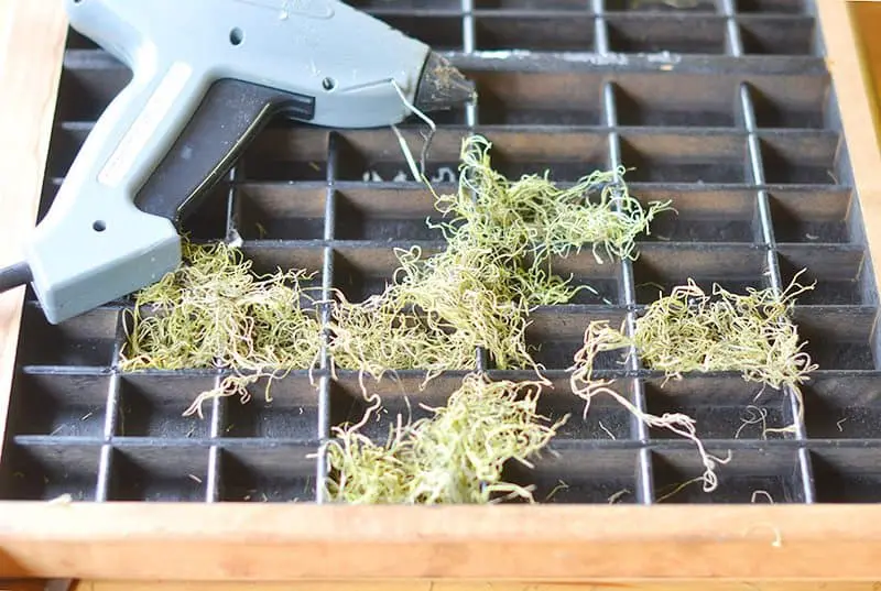 succulent-planter5