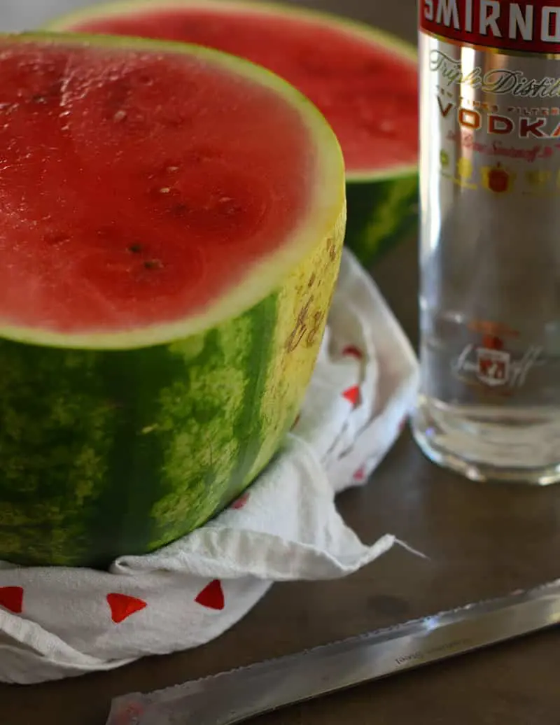 adult watermelon punch