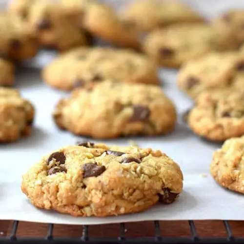 Sunflower Seed Coconut Chocolate Chip cookies