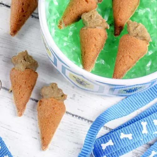 homemade Carrot Dog Treats