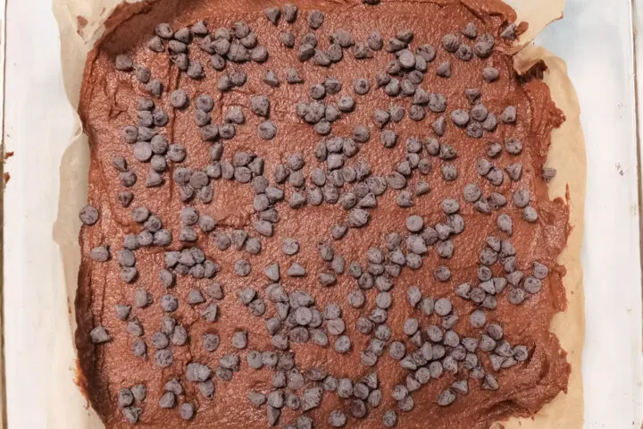 chocolate chips on top of the pumpkin brownie batter