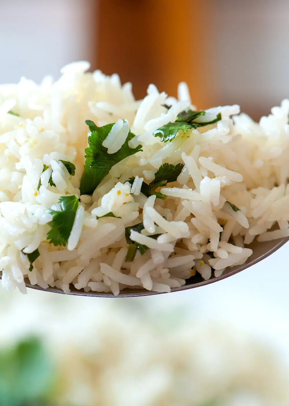 a forkful of cilantro lime rice