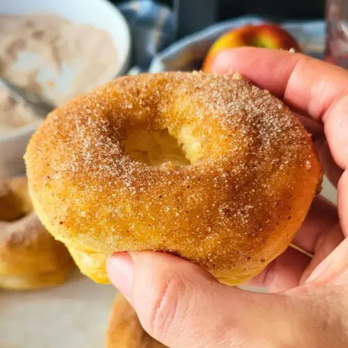 air fryer donuts with apple pie spice